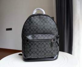 Picture of Coach Handbags _SKUfw240286239fw